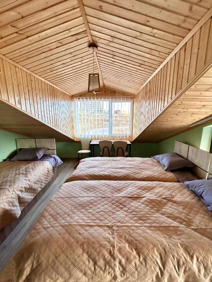 Dandelion Hotel Gudauri Ganisi ภายนอก รูปภาพ