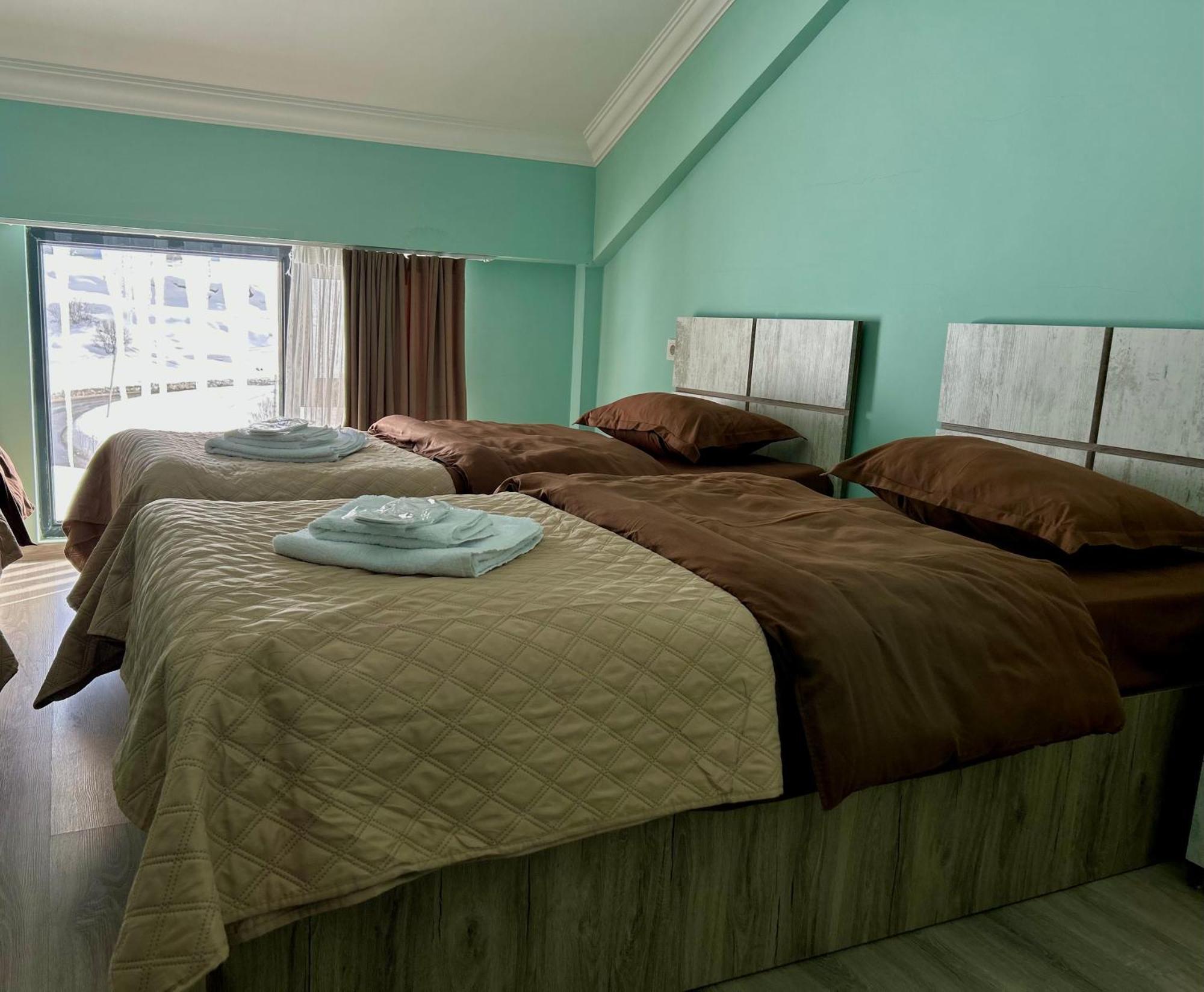 Dandelion Hotel Gudauri Ganisi ภายนอก รูปภาพ